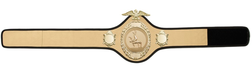 WRESTLING CHAMPIONSHIP BELT-PRO288/S/WRES - 10 COLOURS